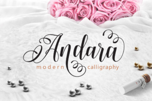 Andara: The Premium Typeface That Transforms Your Brand Identity
