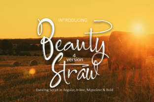 Beauty Straw: The Premium Script Font That Elevates Small Business Branding