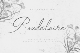 Boudelaire: A Designer's Honest Review of This Script Amp Typeface