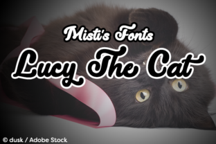 Lucy the Cat: A Bold Script Typeface for Modern Web Design