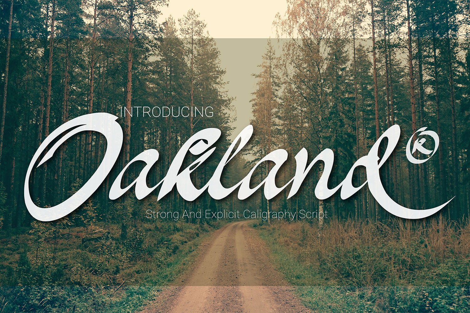 Oakland: The Modern Script Typeface for High-Impact Web Design