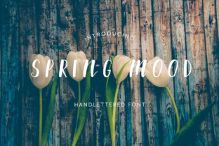 Spring Mood: The Perfect Display Typeface for Modern Web Design