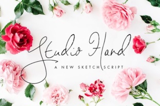 Studio Hand: The Signature Typeface for Elegant Web Design