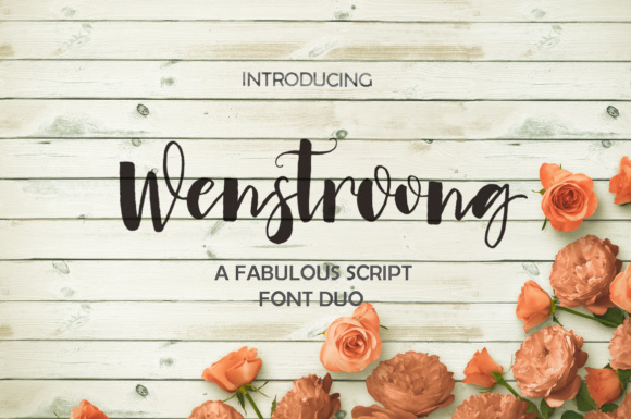 Wenstroong: A Designer's Honest Review for Real Projects