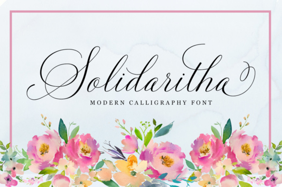 Why Solidaritha Is the Perfect Script Amp Font for Campaigns